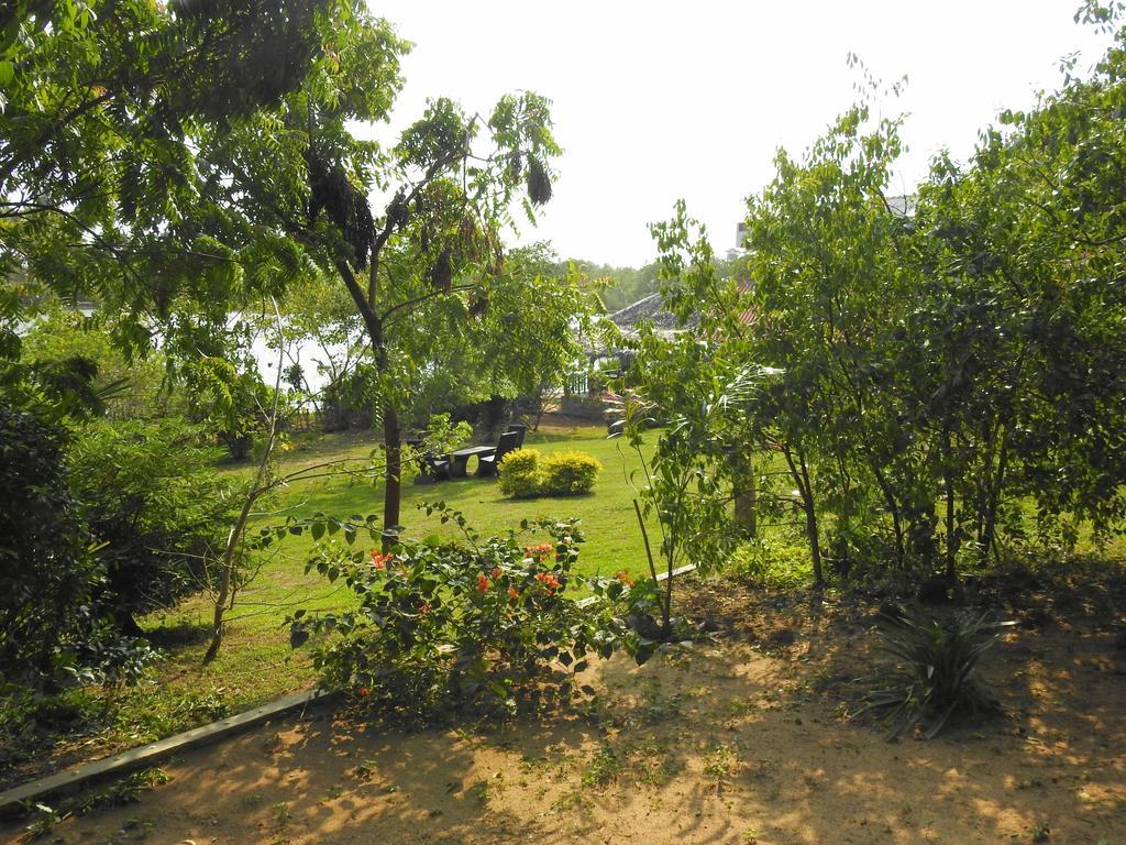 鹰巢小屋酒店 坦加拉 外观 照片