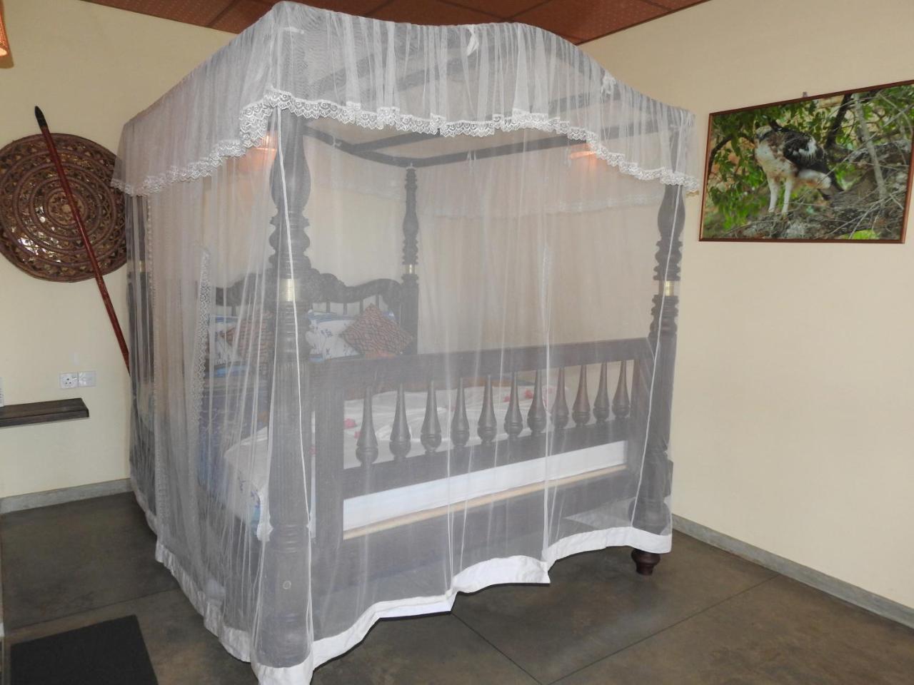 鹰巢小屋酒店 坦加拉 外观 照片